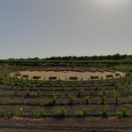 Cozzo Del Parroco - Ospitalita Tra I Vigneti Villa Granelli Buitenkant foto