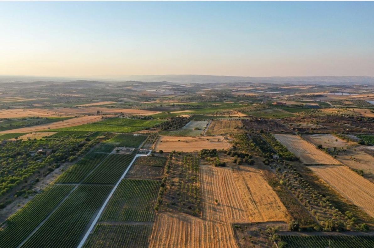 Cozzo Del Parroco - Ospitalita Tra I Vigneti Villa Granelli Buitenkant foto