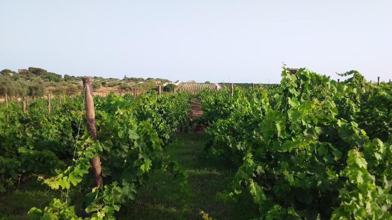 Cozzo Del Parroco - Ospitalita Tra I Vigneti Villa Granelli Buitenkant foto