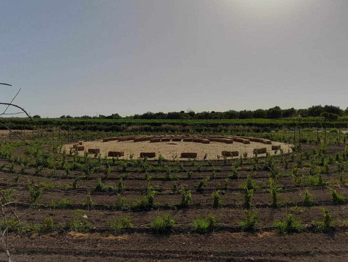 Cozzo Del Parroco - Ospitalita Tra I Vigneti Villa Granelli Buitenkant foto